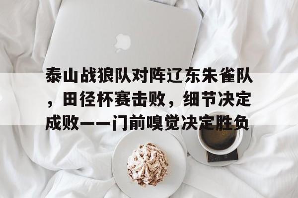 爱游戏下载-关于泰山战狼队对阵辽东朱雀队，田径杯赛击败，细节决定成败——门前嗅觉决定胜负的信息